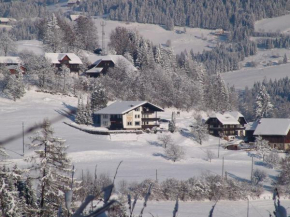  Spacious Apartment in Afritz am See near Ski Area  Африц
